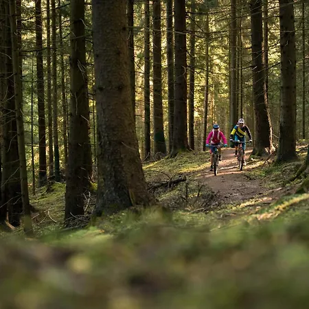 Apartmán Schwaiger *