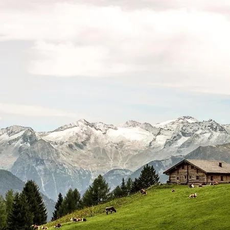 Schwaiger Apartament